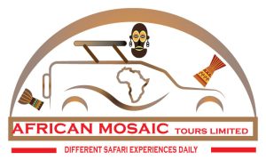 African Mosaic Tours
